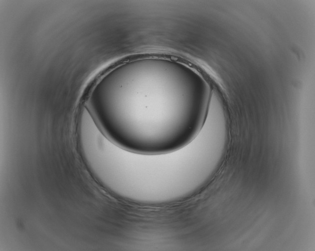 X0000113901364200910081820