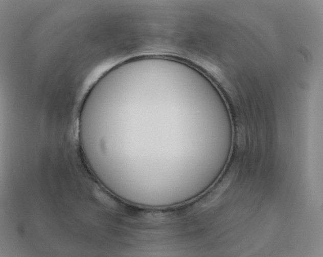 X0000113901366200910081820