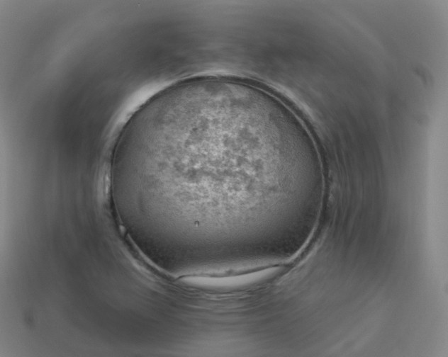 X0000113901367200910081820