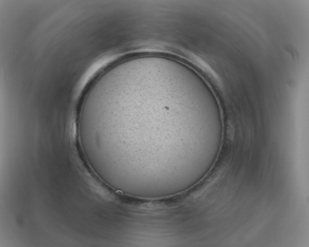 X0000113901368200910081820