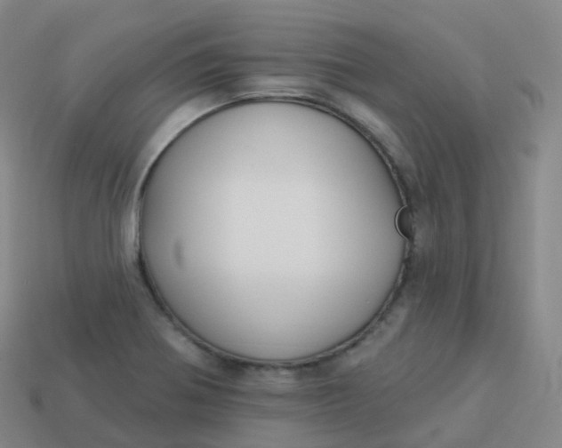 X0000113901370200910081820