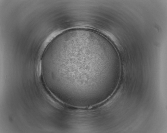 X0000113901371200910081820