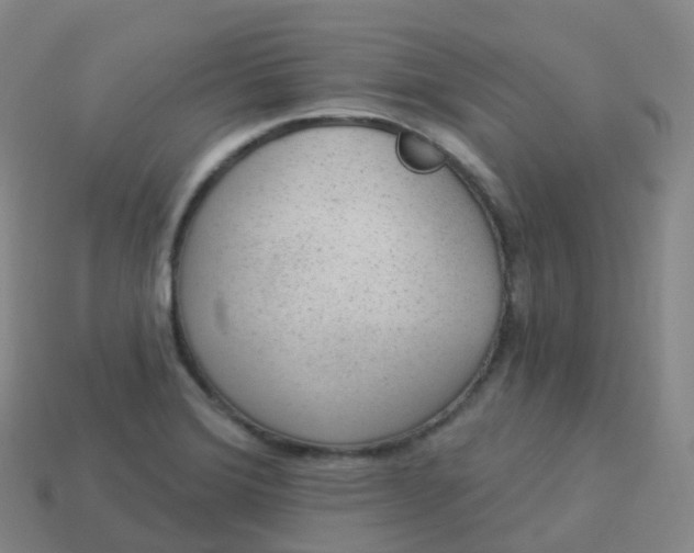 X0000113901372200910081820