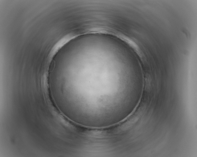 X0000113901373200910081820