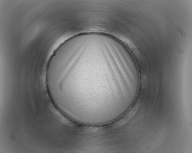 X0000113901374200910081820