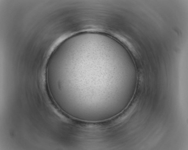 X0000113901375200910081820