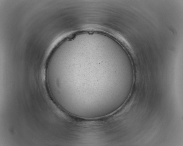 X0000113901376200910081820