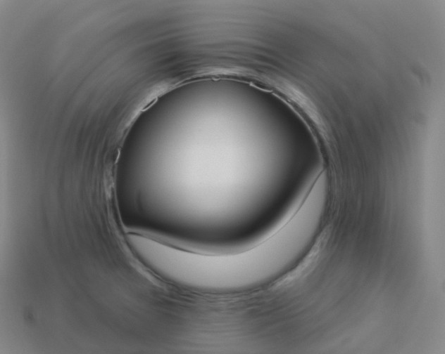 X0000113901377200910081820