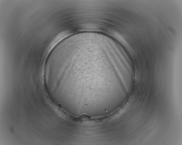 X0000113901378200910081820