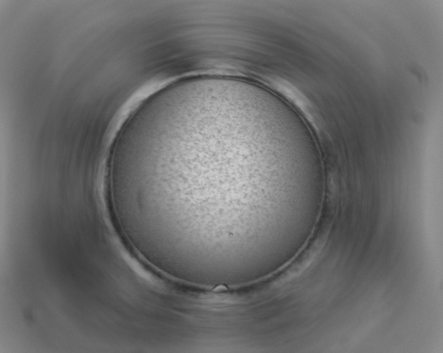 X0000113901379200910081820