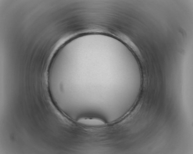 X0000113901380200910081820