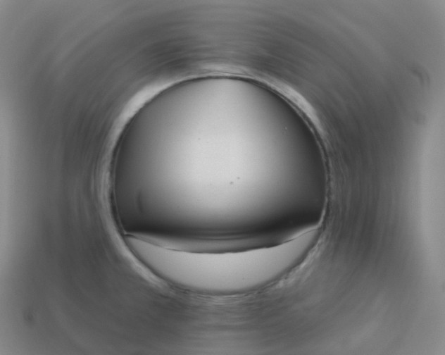 X0000113901381200910081820