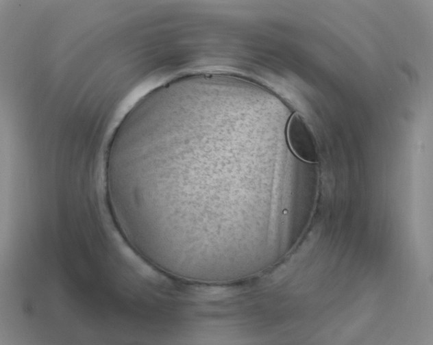 X0000113901382200910081820