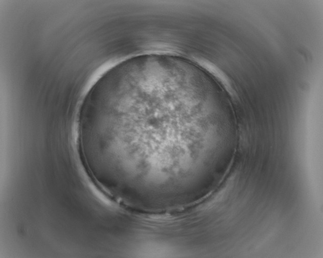 X0000113901383200910081820