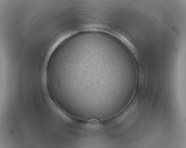 X0000113901384200910081820