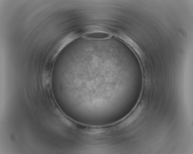 X0000113901385200910081820