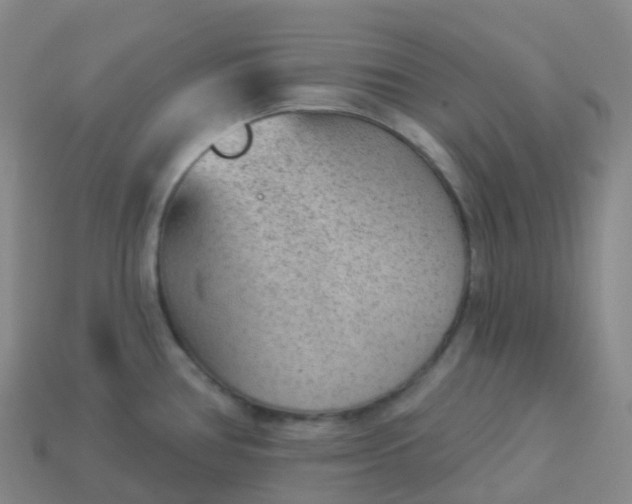 X0000113901386200910081820