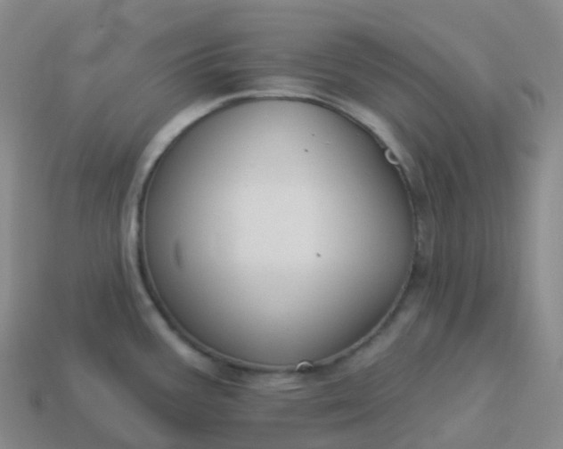 X0000113901387200910081820