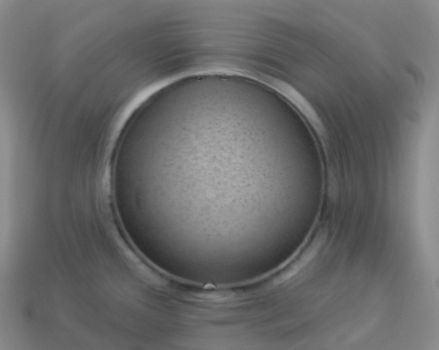 X0000113901388200910081820