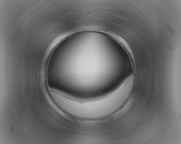 X0000113901389200910081820