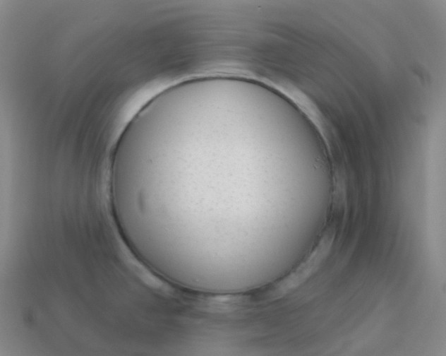 X0000113901390200910081820