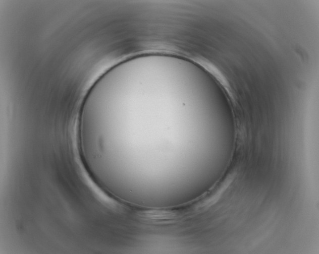 X0000113901391200910081820