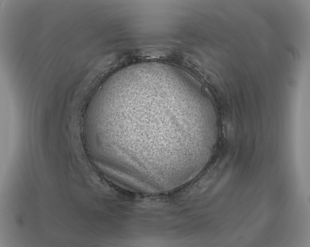 X0000113901393200910081819