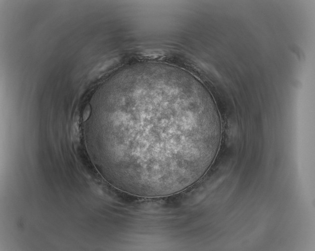 X0000113901394200910081819