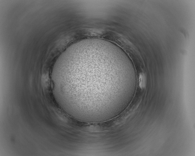 X0000113901395200910081819