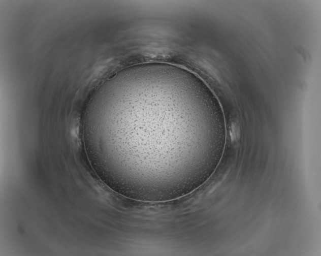 X0000113901396200910081819