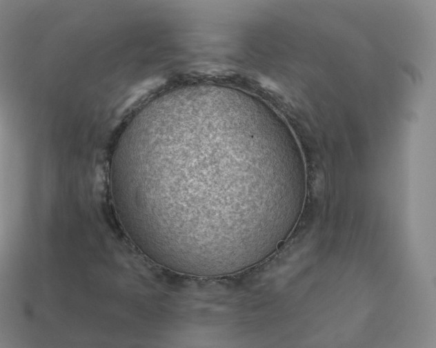 X0000113901397200910081819