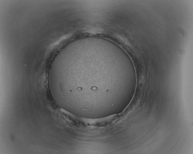 X0000113901398200910081819