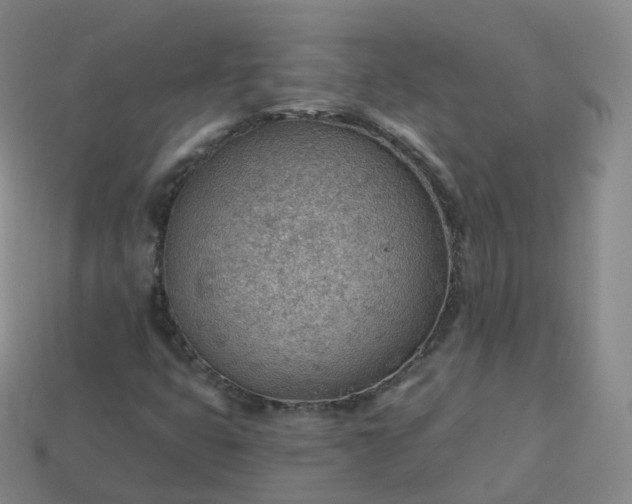 X0000113901399200910081819