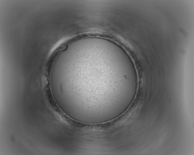 X0000113901400200910081819