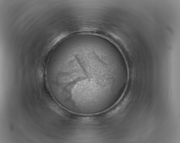 X0000113901401200910081819