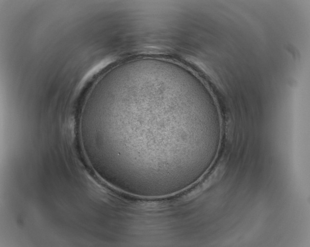 X0000113901402200910081819