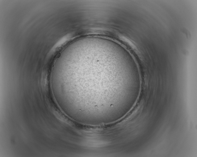 X0000113901403200910081819