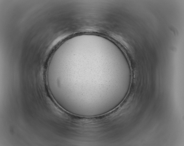 X0000113901404200910081819