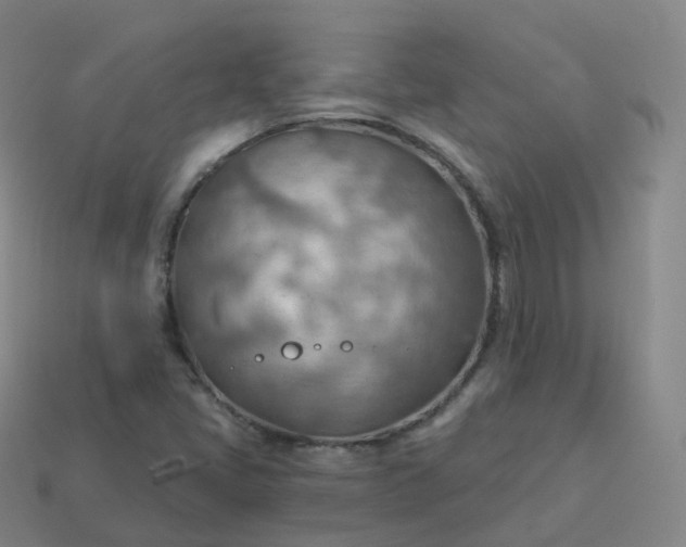 X0000113901405200910081819