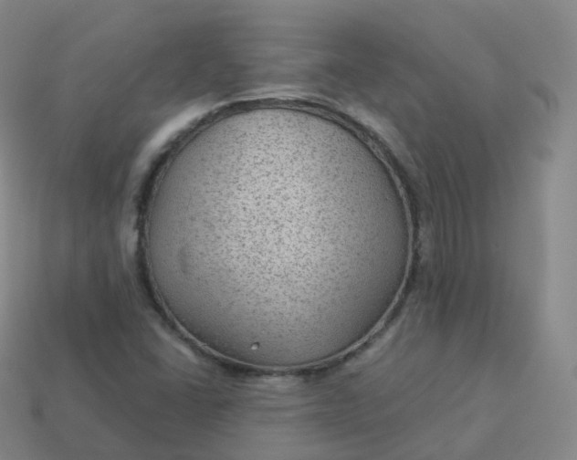 X0000113901406200910081819