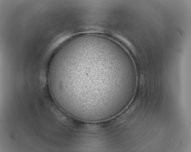 X0000113901407200910081819