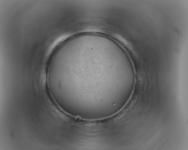 X0000113901408200910081819