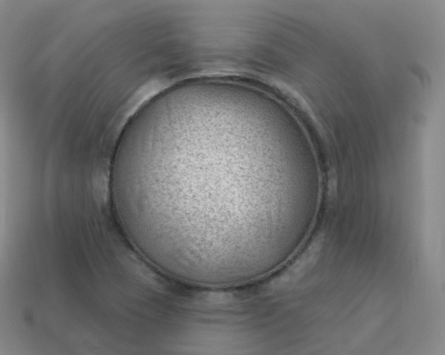 X0000113901409200910081819