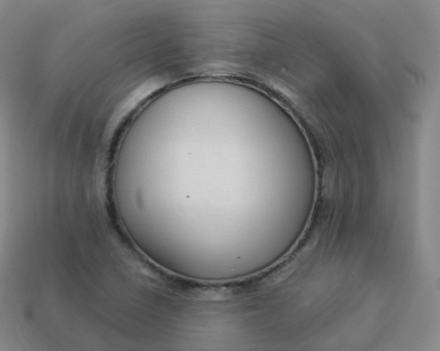 X0000113901410200910081819