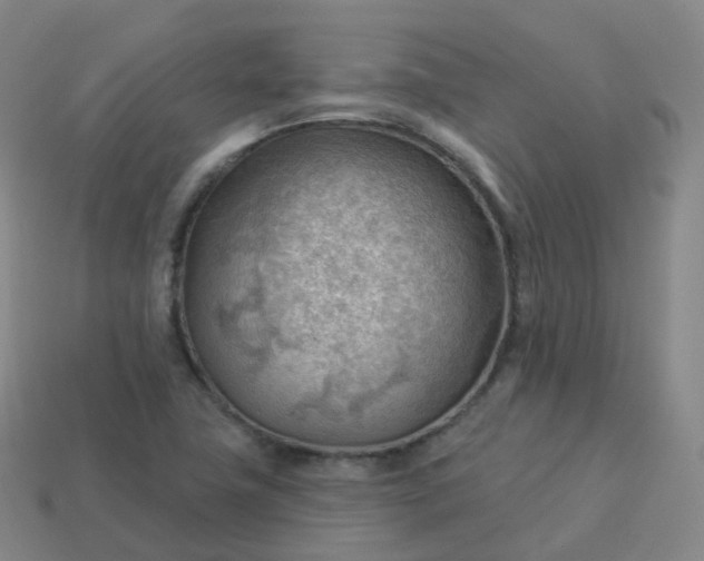 X0000113901411200910081819