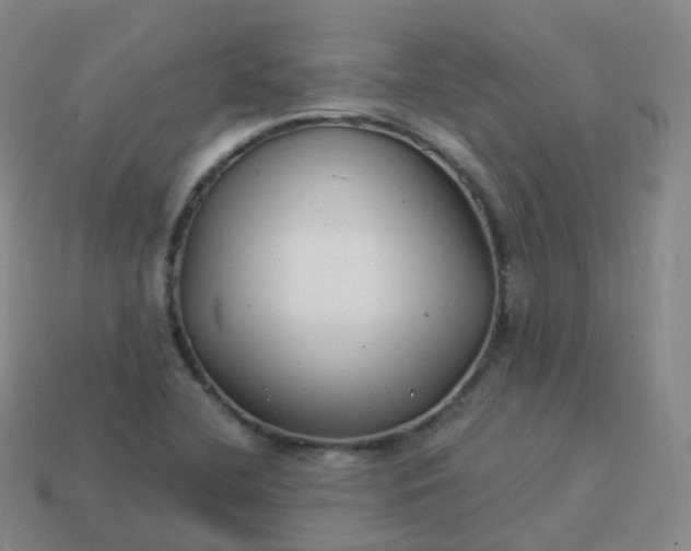 X0000113901412200910081819