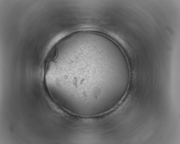 X0000113901413200910081819