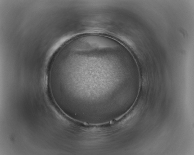 X0000113901414200910081819