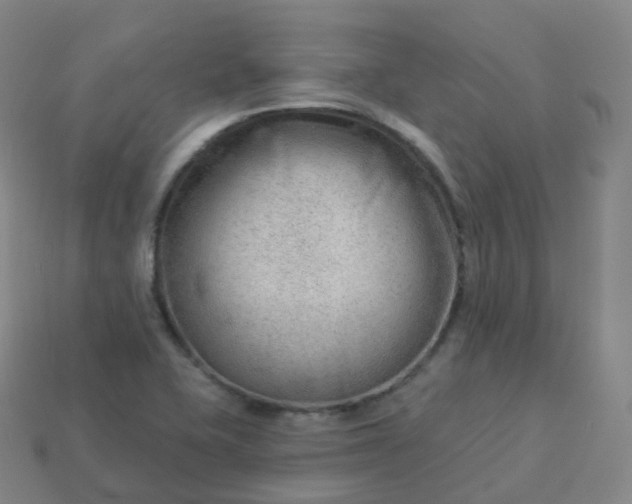 X0000113901415200910081819