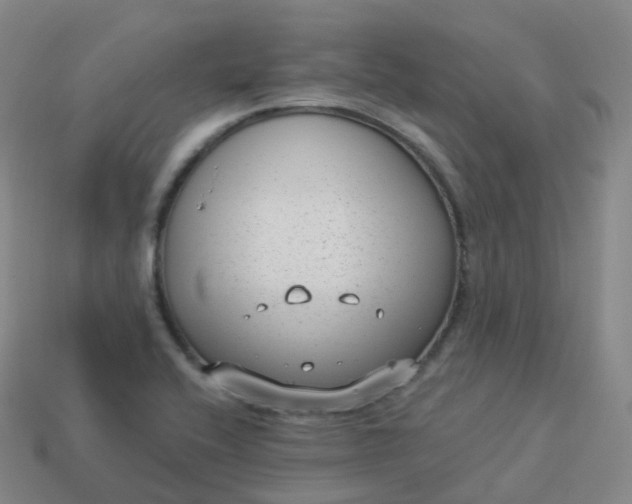 X0000113901416200910081819